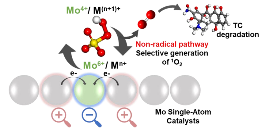 6af8f09f3f8a8e97adfa74b96456e48d.png 6af8f09f3f8a8e97adfa74b96456e48d.png